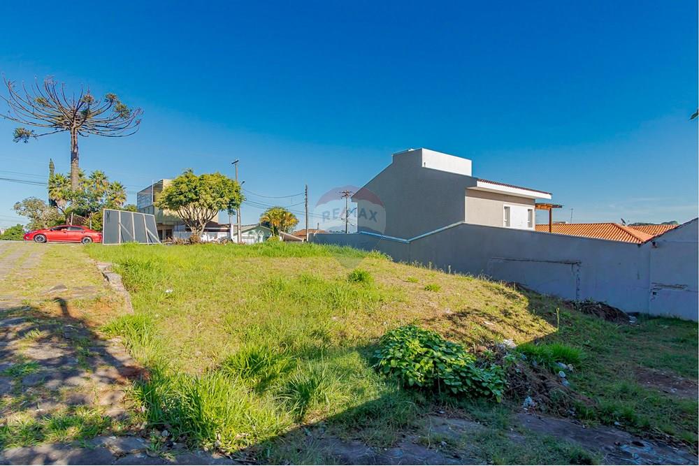 Terreno - Venda - Curitiba , Paraná - IMG_8518.jpg - 560351131-6