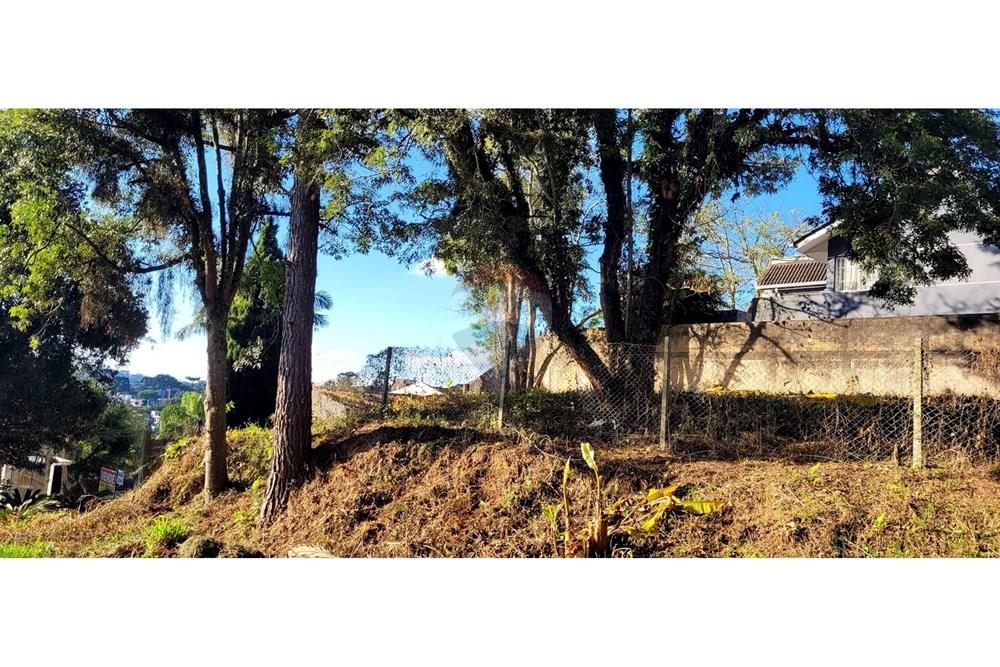 Terreno - Venda - Curitiba , Paraná - foto 4.jpg - 560251041-53