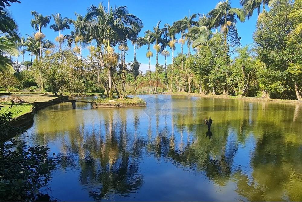 Chácara / Sítio / Fazenda - Venda - Antonina , Paraná - c7fd20bb-3d16-4841-8ea3-b646ef771f28.jpeg - 560391051-9