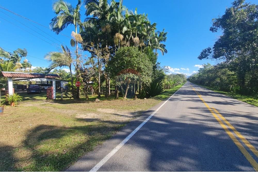 Chácara / Sítio / Fazenda - Venda - Antonina , Paraná - 61f3ea1b-6a05-45bf-a9b7-34e09e8389fd.jpeg - 560391051-9