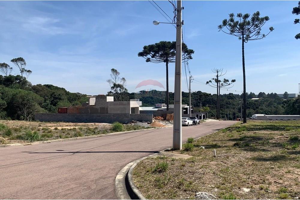 Terreno - Venda - Quatro Barras , Paraná - 28.jpg - 560461019-7