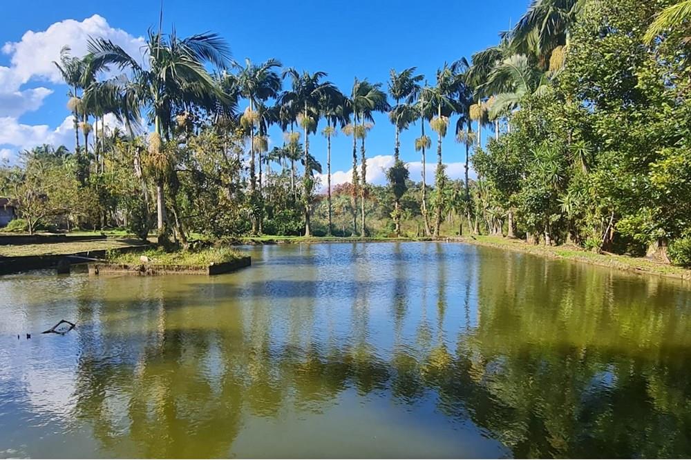 Chácara / Sítio / Fazenda - Venda - Antonina , Paraná - b96c9391-7498-42b8-aef0-c1c7395e81a3.jpeg - 560391051-9