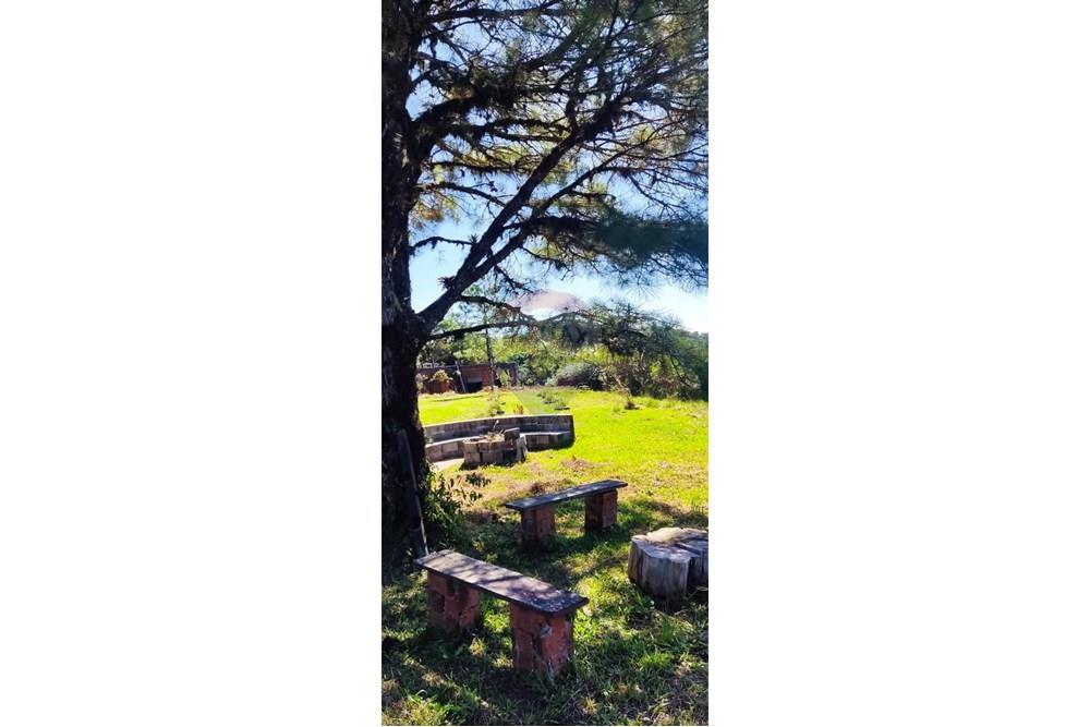 Chácara / Sítio / Fazenda - Venda - São José dos Pinhais , Paraná - 37.jpeg - 560331080-8