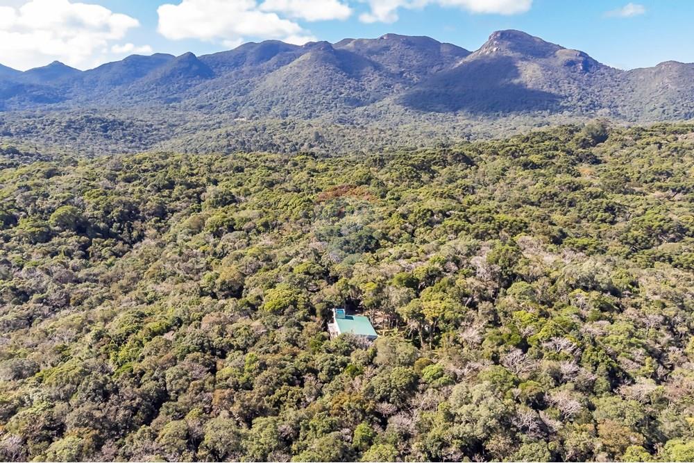 Chácara / Sítio / Fazenda - Venda - Piraquara , Paraná - DJI_0509_1 (1).jpg - 560431012-39