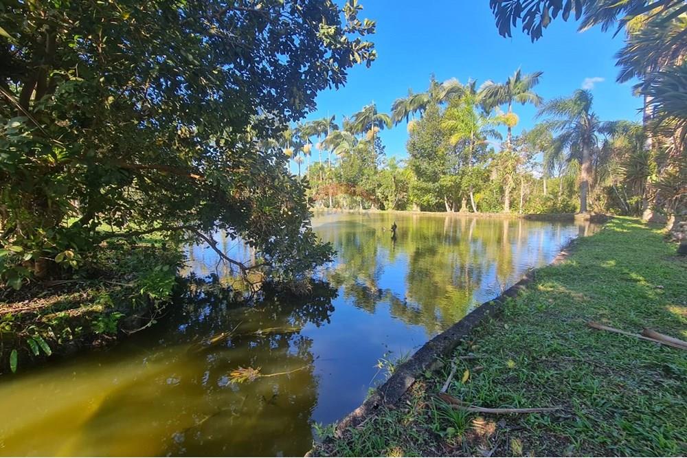 Chácara / Sítio / Fazenda - Venda - Antonina , Paraná - a4c5bda7-3df7-4cdf-8a78-4b088942b67b.jpeg - 560391051-9