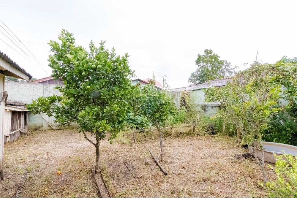 Casa - Alugar - Curitiba , Paraná - IMG_9027_1.jpg - 560411052-109