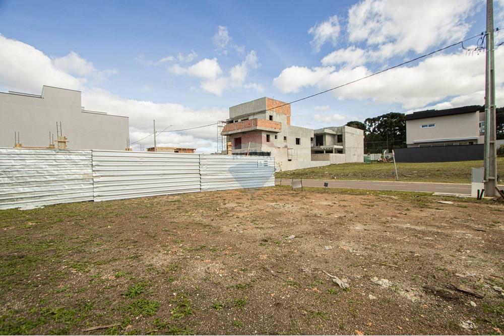 Terreno - Venda - São José dos Pinhais , Paraná - IMG_0273.jpg - 560411070-66