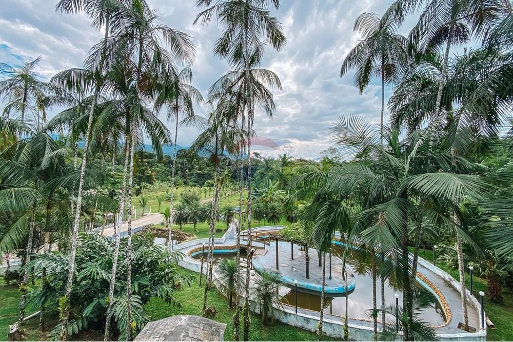 Chácara / Sítio / Fazenda - Venda - Morretes , Paraná - 04.jpg - 560411008-77