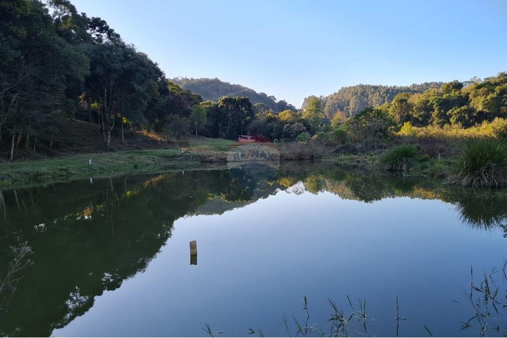 Chácara / Sítio / Fazenda - Venda - Mandirituba , Paraná - cbe5ad41-ba92-4add-8968-2de38c7a33c4.jpeg - 560391051-7
