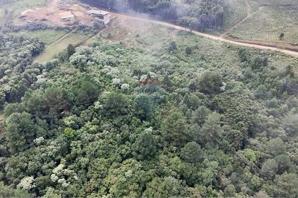 Chácara / Sítio / Fazenda - Venda - Bocaiúva do Sul , Paraná - 6666c455-bf6d-44b4-98e5-90a0a4324df6.jpg - 560321139-4