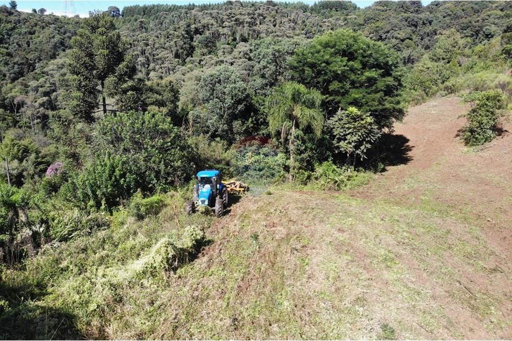 Chácara / Sítio / Fazenda - Venda - Campo Magro , Paraná - WhatsApp Image 2025-04-09 at 19.11.20.jpeg - 560351106-18