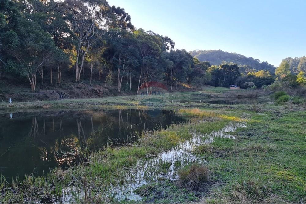 Chácara / Sítio / Fazenda - Venda - Mandirituba , Paraná - 9431e1dd-398e-4d96-a719-d51a8f6728b6.jpeg - 560391051-7