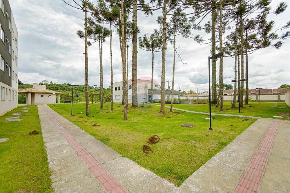 Apartamento - Venda - Campo Largo , Paraná - IMG-20250829-WA0027.jpg - 560411054-33