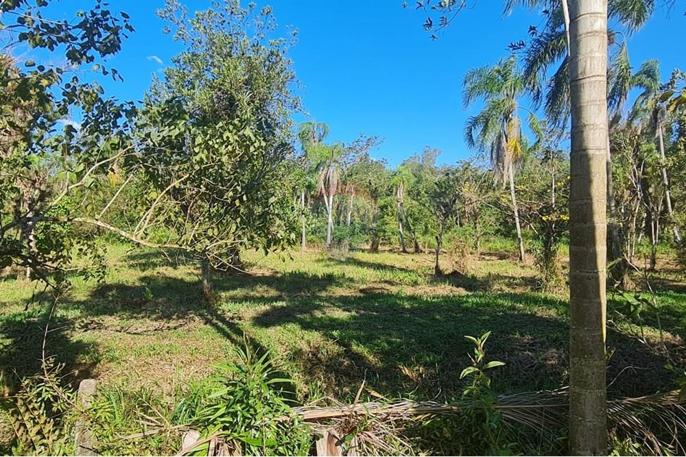 Chácara / Sítio / Fazenda - Venda - Antonina , Paraná - 938df9e6-c21b-4567-a9d9-07b28994f4bc.jpeg - 560391051-9