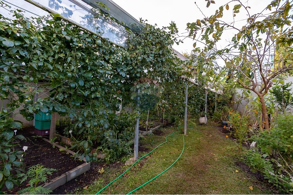 Cobertura - Venda - Curitiba , Paraná - IMG_6660.jpg - 560311060-20