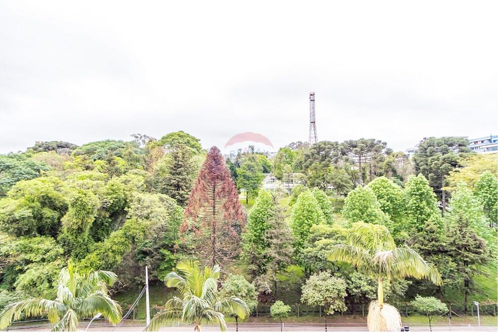 Apartamento - Alugar - Curitiba , Paraná - IMG_0204_1.jpg - 560391084-192