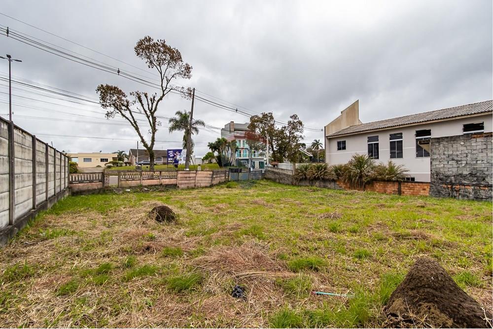 Terreno - Venda - Quatro Barras , Paraná - IMG_9736.jpg - 560411029-21