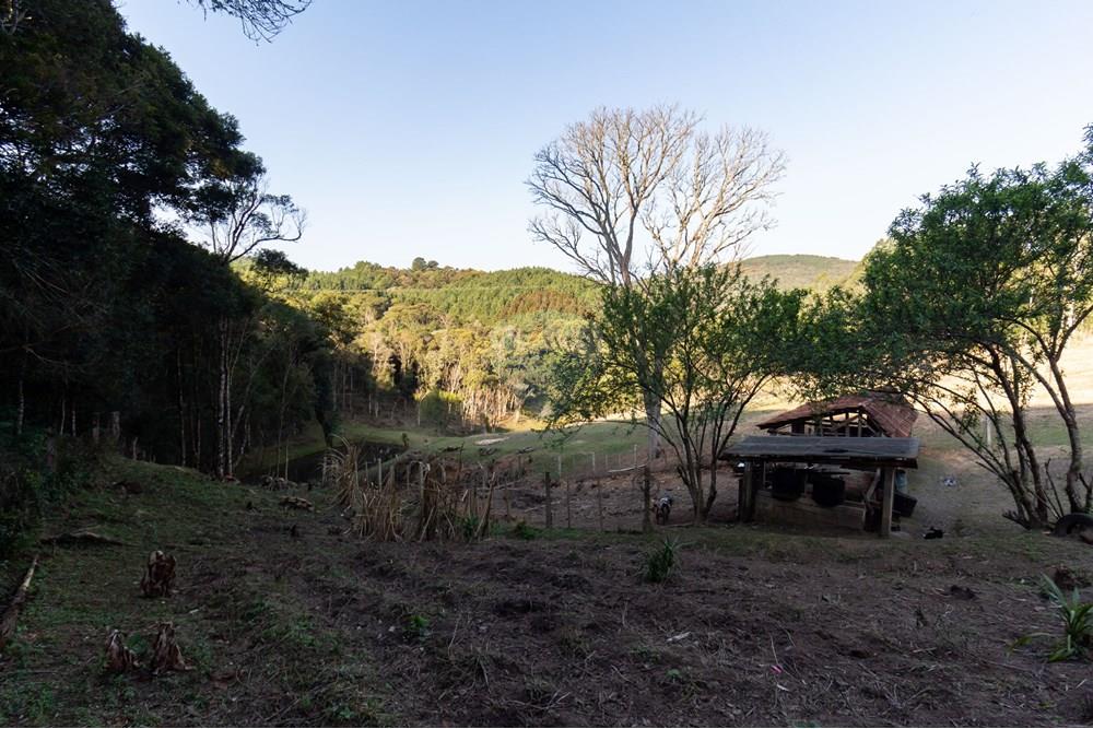 Chácara / Sítio / Fazenda - Venda - Mandirituba , Paraná - IMG_1354.jpg - 560341112-24