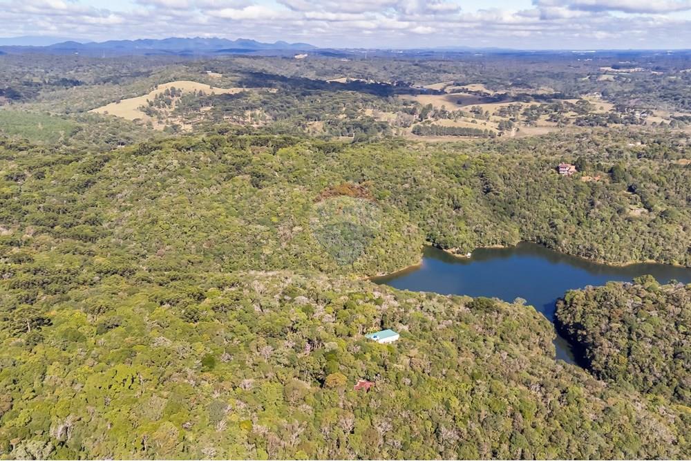 Chácara / Sítio / Fazenda - Venda - Piraquara , Paraná - DJI_0482_1.jpg - 560431012-39