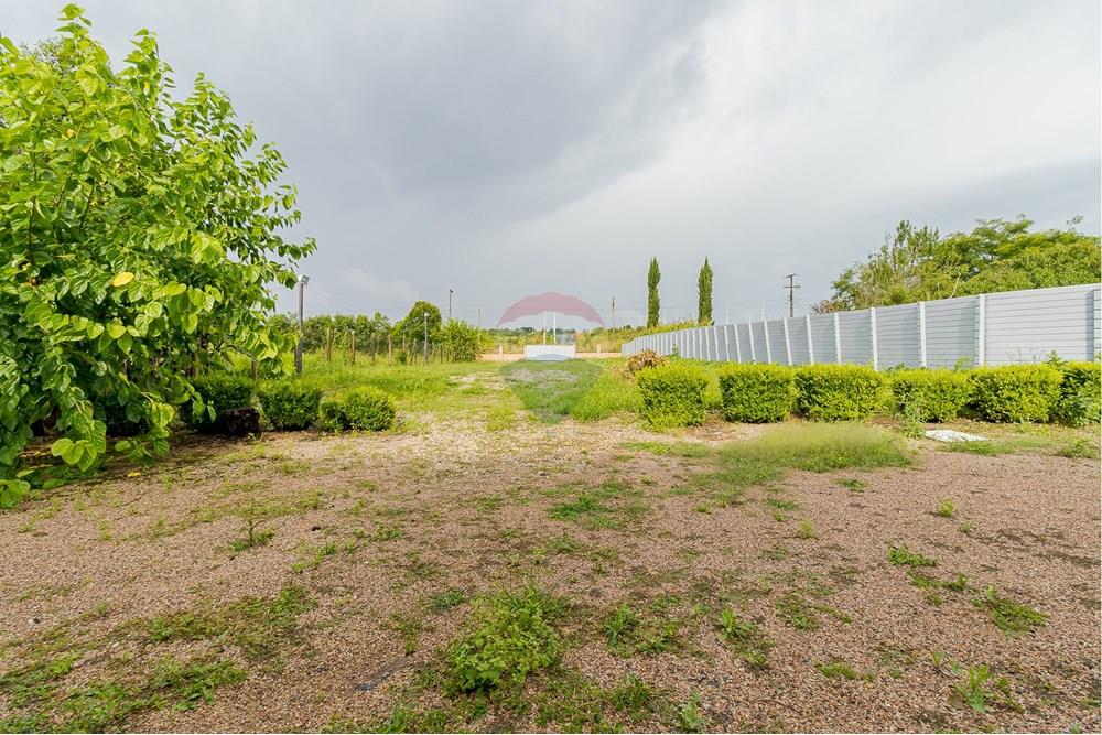 Chácara / Sítio / Fazenda - Alugar - Fazenda Rio Grande , Paraná - IMG_9366.jpg - 560391075-16