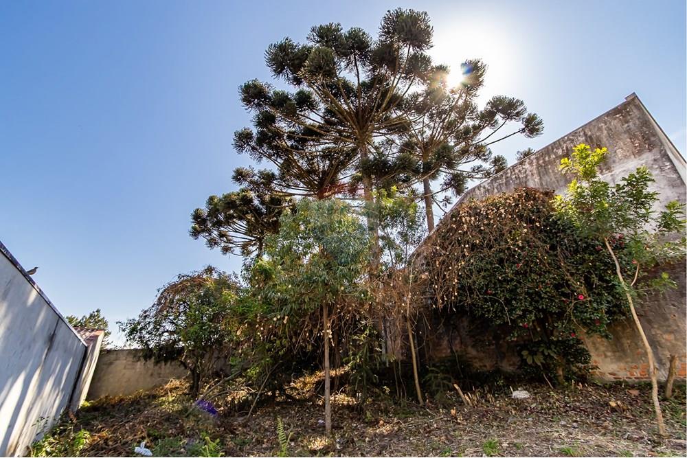 Terreno - Venda - Curitiba , Paraná - IMG_7319.jpg - 560341040-20