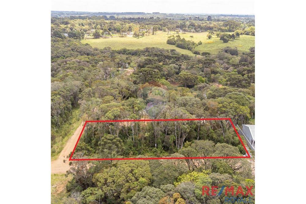 Terreno - Venda - São José dos Pinhais , Paraná - 11 - 560251029-43