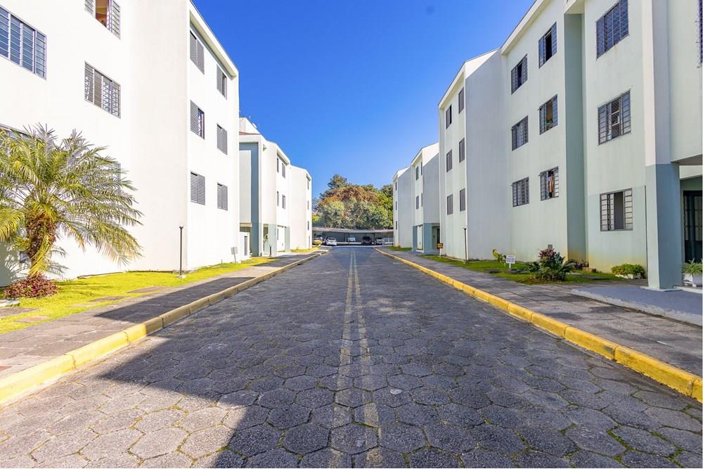 Apartamento - Alugar - Curitiba , Paraná - IMG_3249_1.jpg - 560351125-44