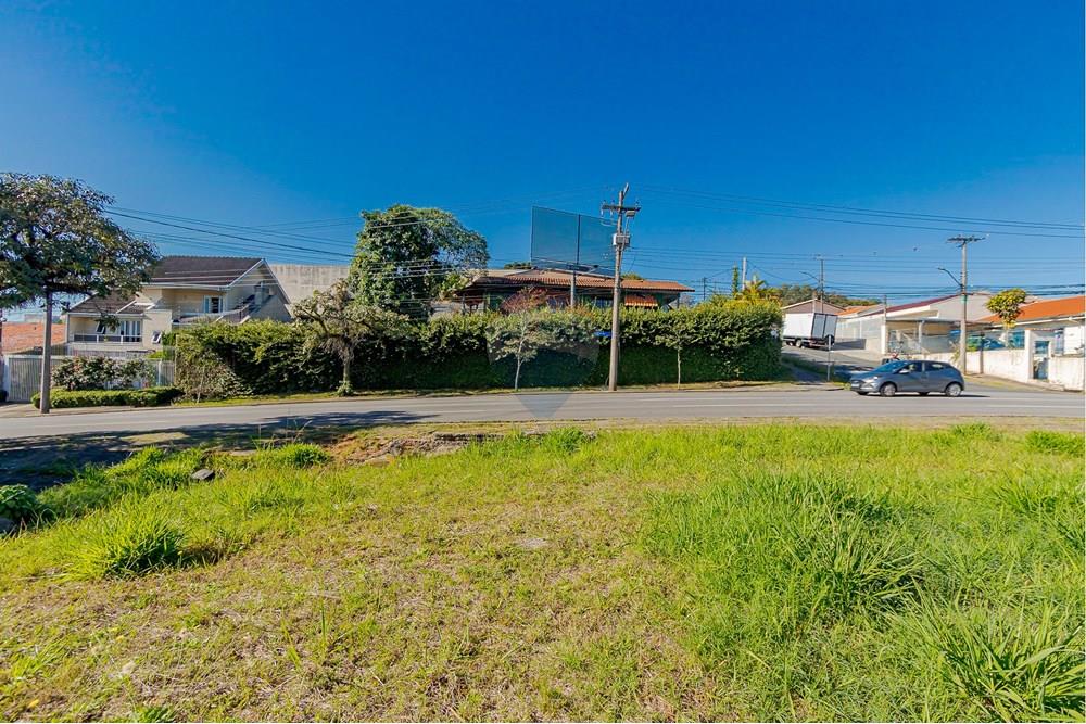 Terreno - Venda - Curitiba , Paraná - IMG_8539.jpg - 560351131-6