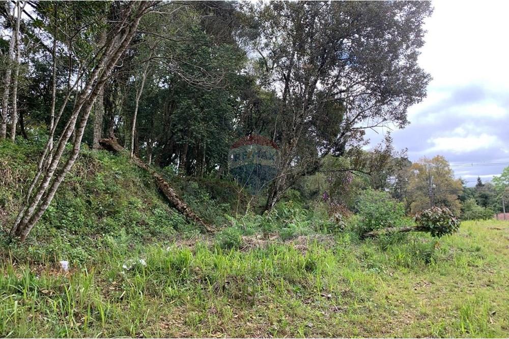 Terreno - Venda - Curitiba , Paraná - 7.jpg - 560461019-13