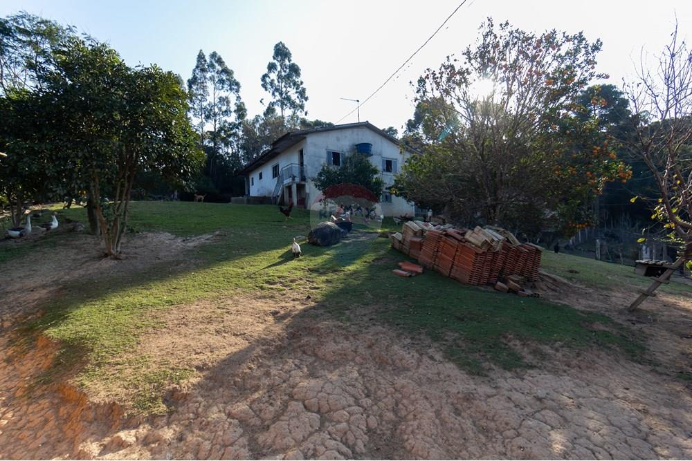 Chácara / Sítio / Fazenda - Venda - Mandirituba , Paraná - IMG_1350.jpg - 560341112-24