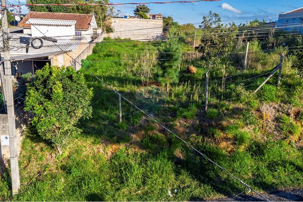 Terreno - Venda - Campo Largo , Paraná - DJI_0756_1.jpg - 560411008-81