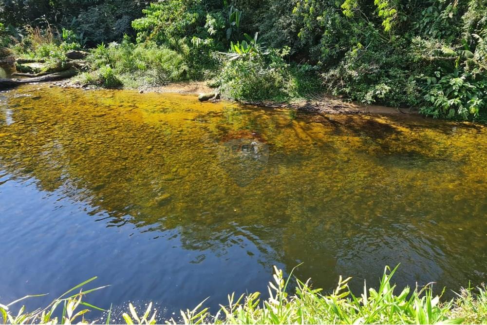 Chácara / Sítio / Fazenda - Venda - Antonina , Paraná - aeaed3f1-e451-4dea-b5f2-5e7696e2ea9a.jpeg - 560391051-9