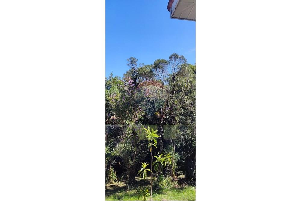 Chácara / Sítio / Fazenda - Venda - São José dos Pinhais , Paraná - 55.jpeg - 560331080-8