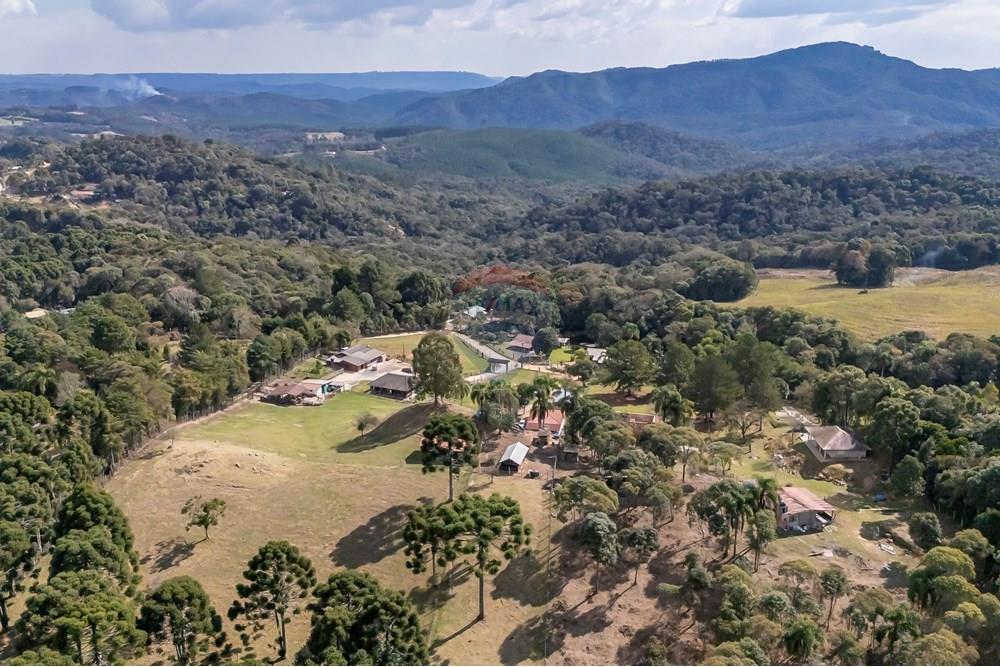 Chácara / Sítio / Fazenda - Venda - Campo Largo , Paraná - F (24).jpg - 560351150-1