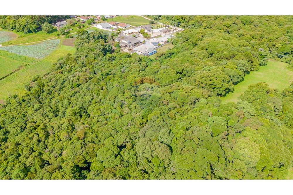 Terreno - Venda - Colombo , Paraná - DJI_20250317150338_0149_D (1).jpg - 560391062-11