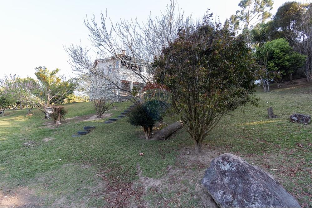 Chácara / Sítio / Fazenda - Venda - Mandirituba , Paraná - IMG_1345.jpg - 560341112-24