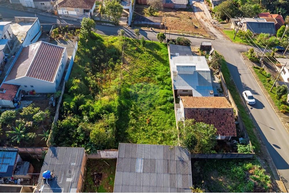 Terreno - Venda - Campo Largo , Paraná - DJI_0731_1.jpg - 560411008-81