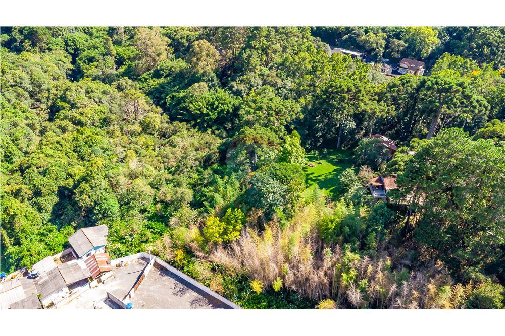 Terreno - Venda - Curitiba , Paraná - 11 - 560411070-38