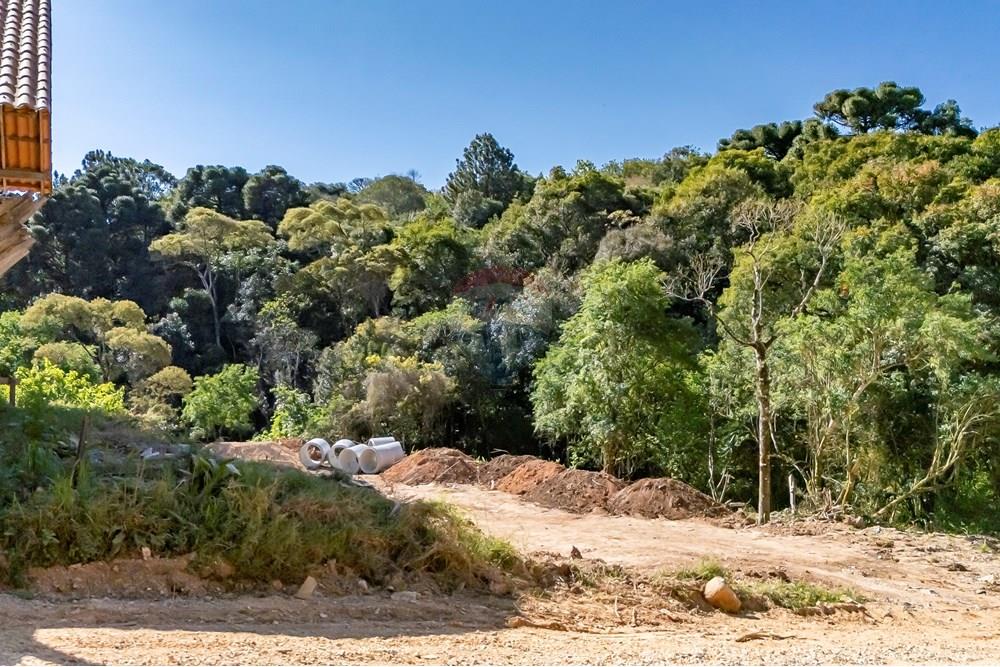 Terreno - Venda - Almirante Tamandaré , Paraná - DJI_20250912150800_0047_D_1.jpg - 560411008-76