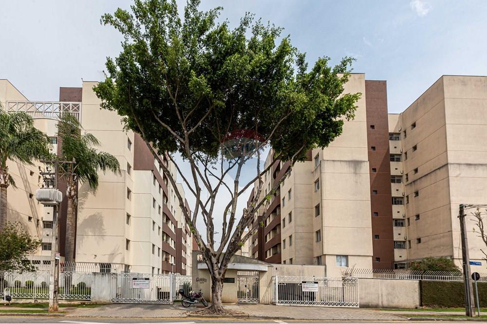 Apartamento - Alugar - Curitiba , Paraná - _MG_4206.jpg - 560461010-50