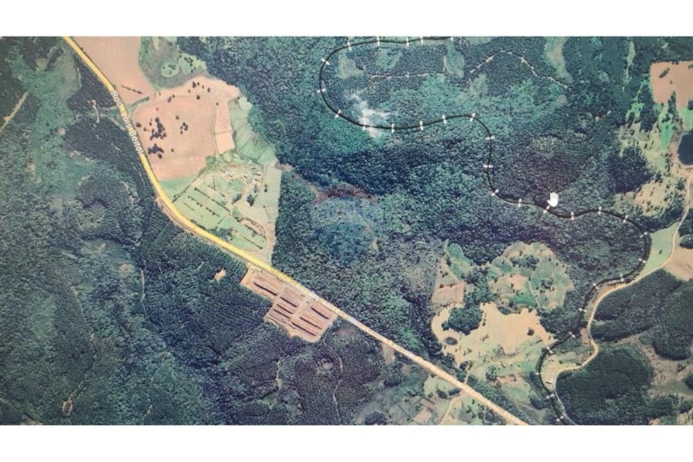 Terreno - Venda - Calmon , Santa Catarina - Calmon - Vista aérea.jpeg - 560351109-12