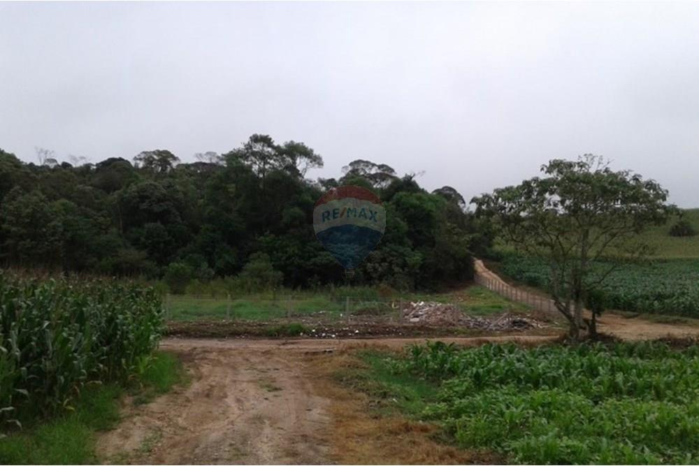 Terreno - Venda - Almirante Tamandaré , Paraná - 4169.jpg - 560351109-21