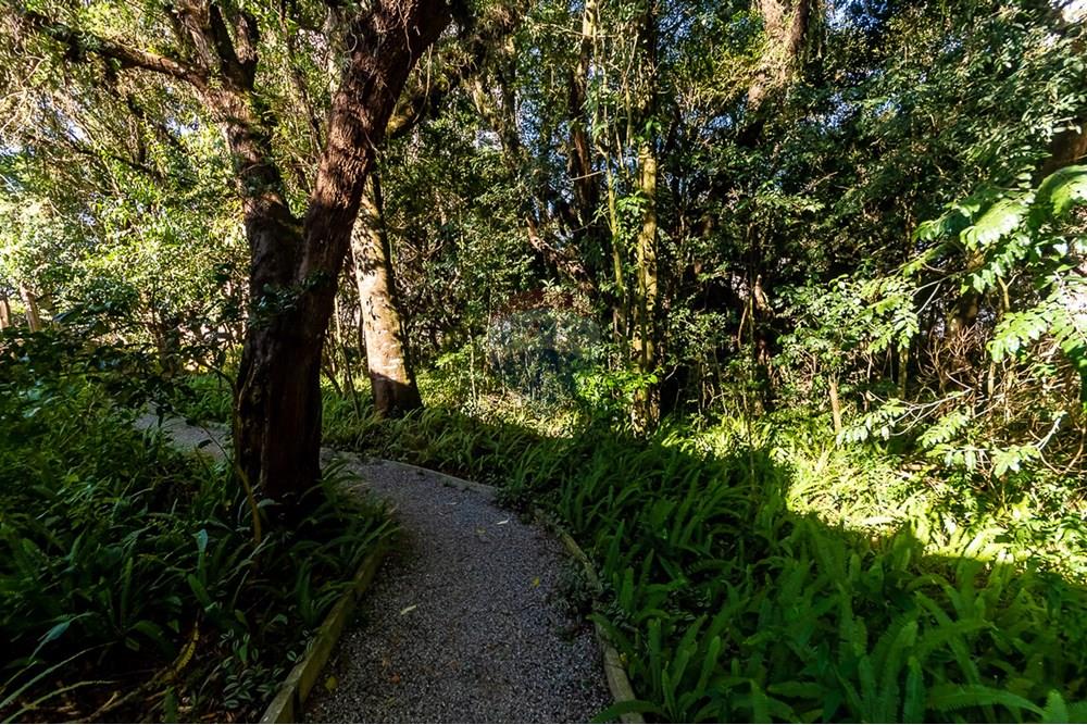 Apartamento - Alugar - Curitiba , Paraná - ProfPedroVPdeSouza-83.jpg - 560311047-543