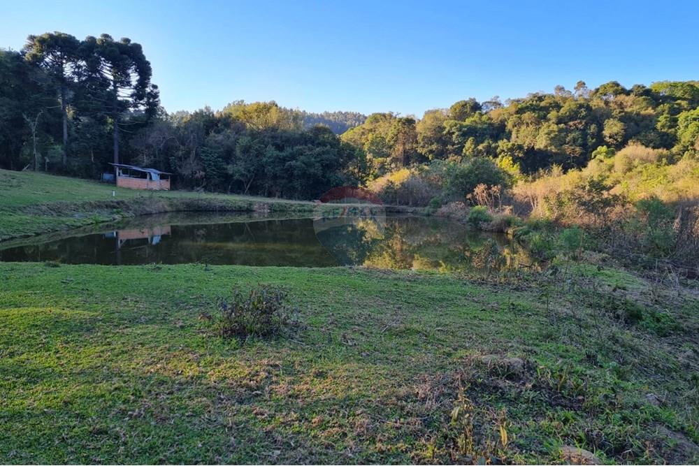 Chácara / Sítio / Fazenda - Venda - Mandirituba , Paraná - d094d674-82aa-415f-a1af-add67e6ca3d9.jpeg - 560391051-7