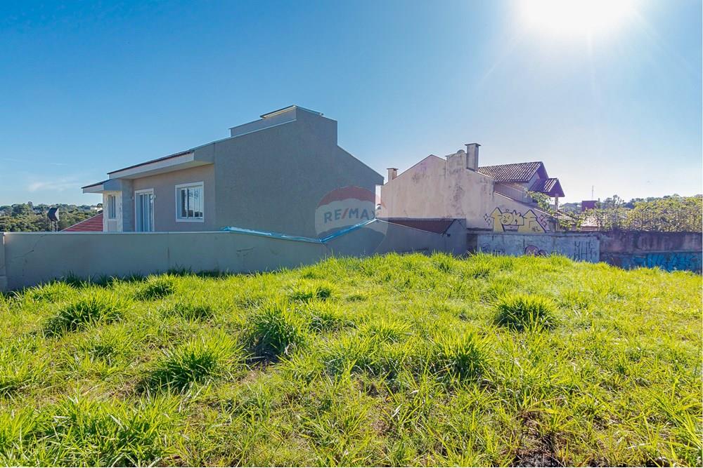 Terreno - Venda - Curitiba , Paraná - IMG_8522.jpg - 560351131-6