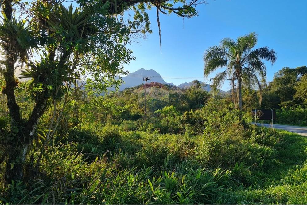 Chácara / Sítio / Fazenda - Venda - Antonina , Paraná - 811d0c6f-f84c-4810-9e3a-18f7657398ff.jpeg - 560391051-9