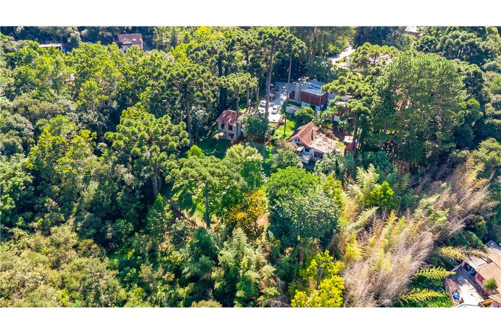 Terreno - Venda - Curitiba , Paraná - 10 - 560411070-38