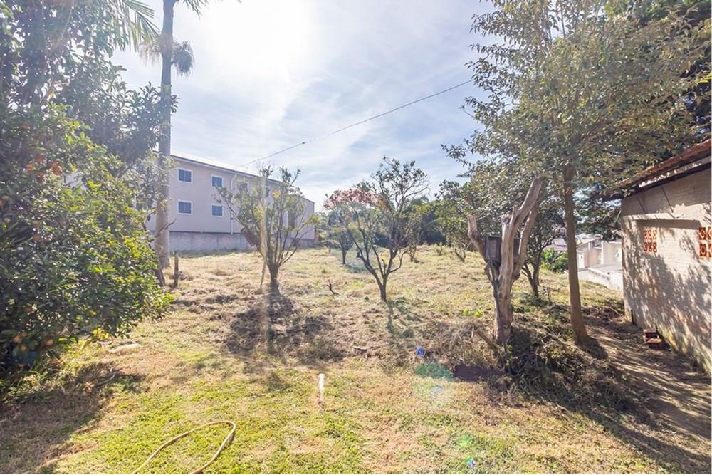 Terreno - Venda - Curitiba , Paraná - Y6bZ3n7w.jpeg - 560441003-37