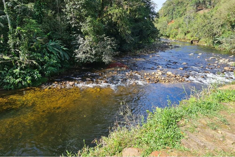 Chácara / Sítio / Fazenda - Venda - Antonina , Paraná - 97b77c5c-499e-4e9f-99e9-ab1057afc81b.jpeg - 560391051-9