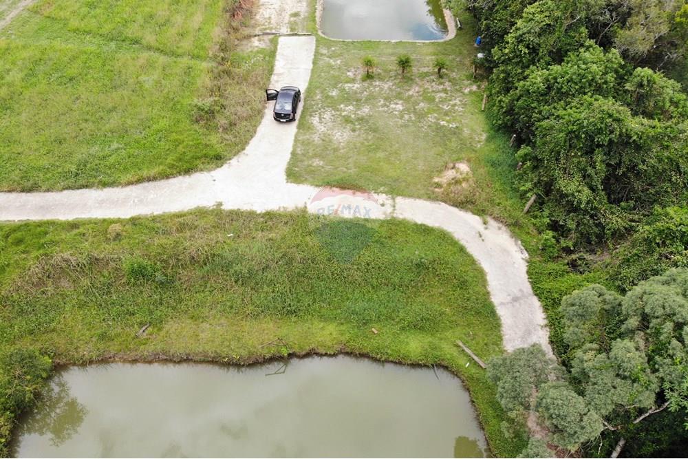 Terreno - Venda - São José dos Pinhais , Paraná - DJI_0600.JPG - 560351069-39